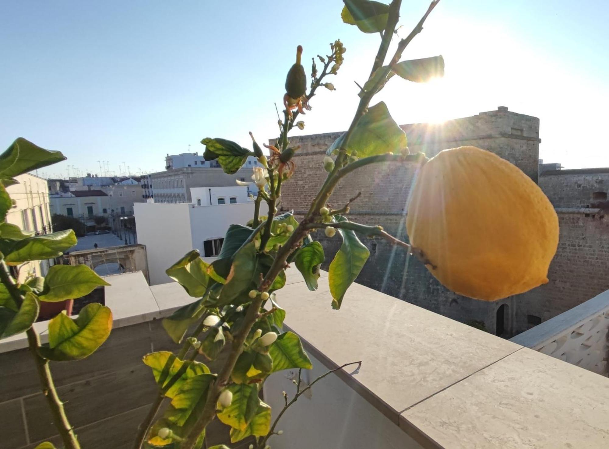 Locanda Degli Angioini Locazione Turistica Hotel Mola di Bari Buitenkant foto